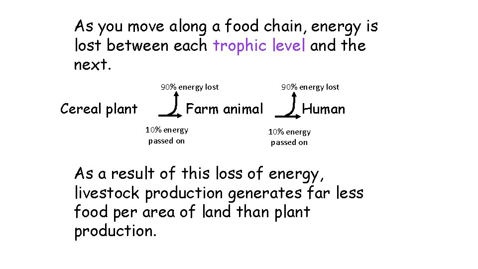 As you move along a food chain, energy is lost between each trophic level