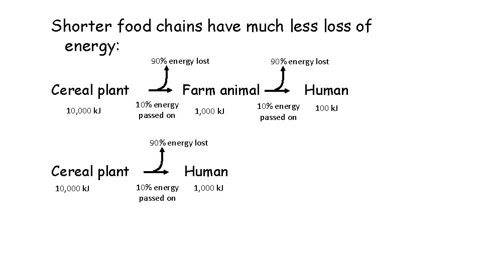 Shorter food chains have much less loss of energy: 90% energy lost Cereal plant