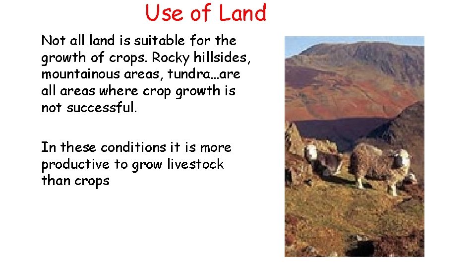 Use of Land Not all land is suitable for the growth of crops. Rocky