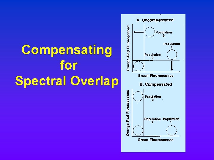 Compensating for Spectral Overlap Compensating for Spectral Overlap