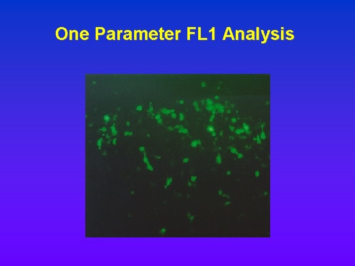 One Parameter FL 1 Analysis One Parameter FL 1 Analysis