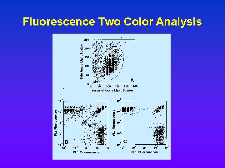 Fluorescence Two Color Analysis Fluorescence Two Color Analysis