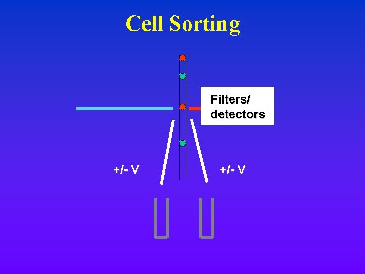 Cell Sorting Filters/ detectors +/- V Cell Sorting Filters/ detectors +/- V