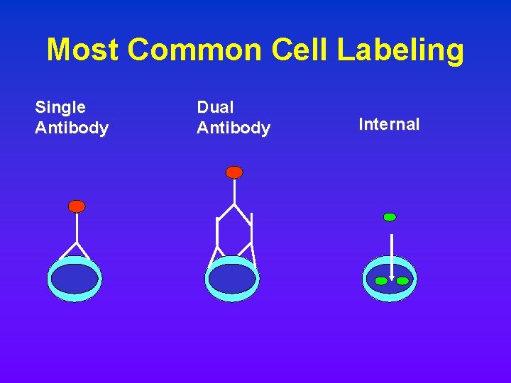 Most Common Cell Labeling Single Antibody Dual Antibody Internal Most Common Cell Labeling Single Antibody Dual Antibody Internal