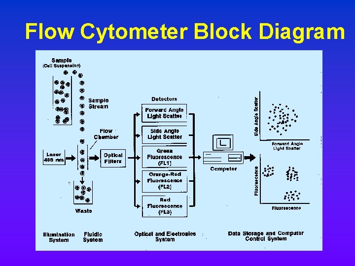 Flow Cytometer Block Diagram Flow Cytometer Block Diagram