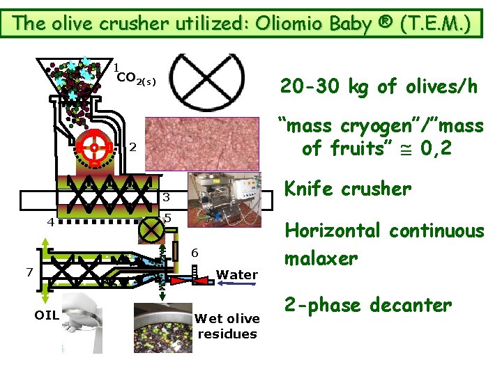 The olive crusher utilized: Oliomio Baby ® (T. E. M. ) * * *