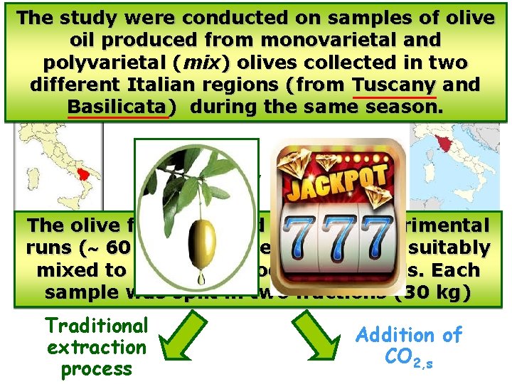 The study were conducted on samples of olive oil produced from monovarietal and polyvarietal