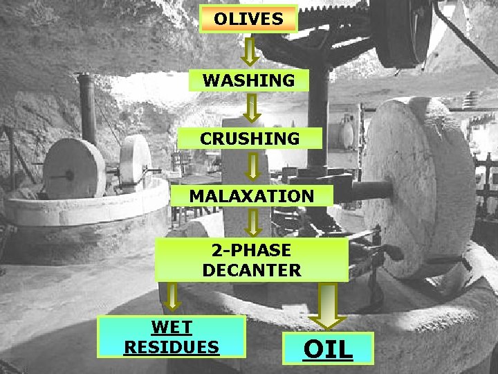 OLIVES WASHING CRUSHING MALAXATION 2 -PHASE DECANTER WET RESIDUES OIL 