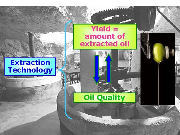 Yield = amount of extracted oil Extraction Technology Oil Quality 