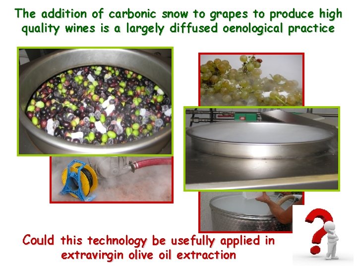 The addition of carbonic snow to grapes to produce high quality wines is a