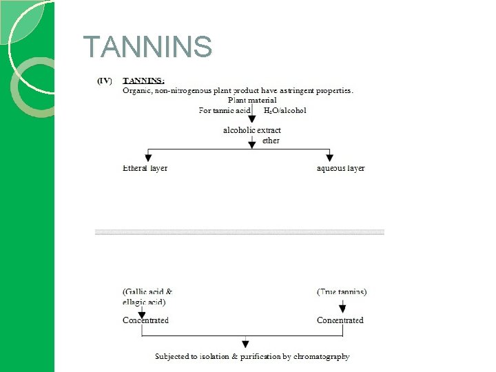 TANNINS 