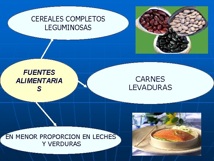 CEREALES COMPLETOS LEGUMINOSAS FUENTES ALIMENTARIA S EN MENOR PROPORCION EN LECHES Y VERDURAS CARNES