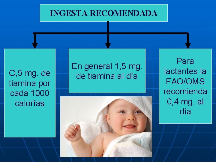 INGESTA RECOMENDADA O, 5 mg. de tiamina por cada 1000 calorías En general 1,