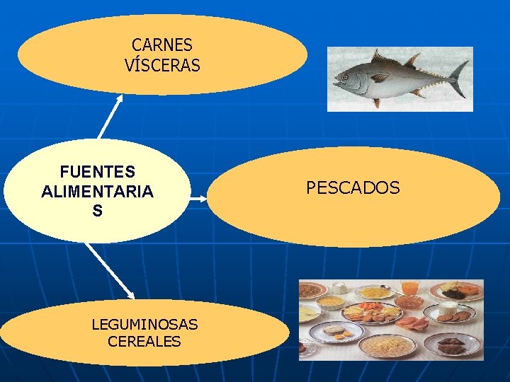 CARNES VÍSCERAS FUENTES ALIMENTARIA S LEGUMINOSAS CEREALES PESCADOS 