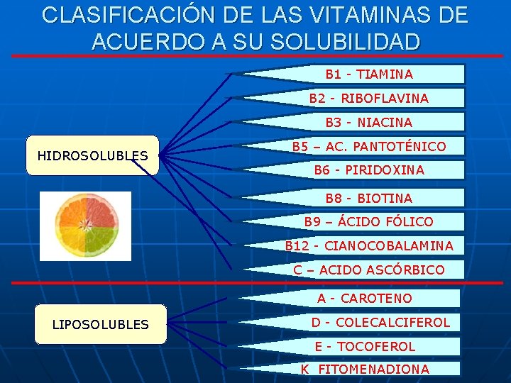 CLASIFICACIÓN DE LAS VITAMINAS DE ACUERDO A SU SOLUBILIDAD B 1 - TIAMINA B