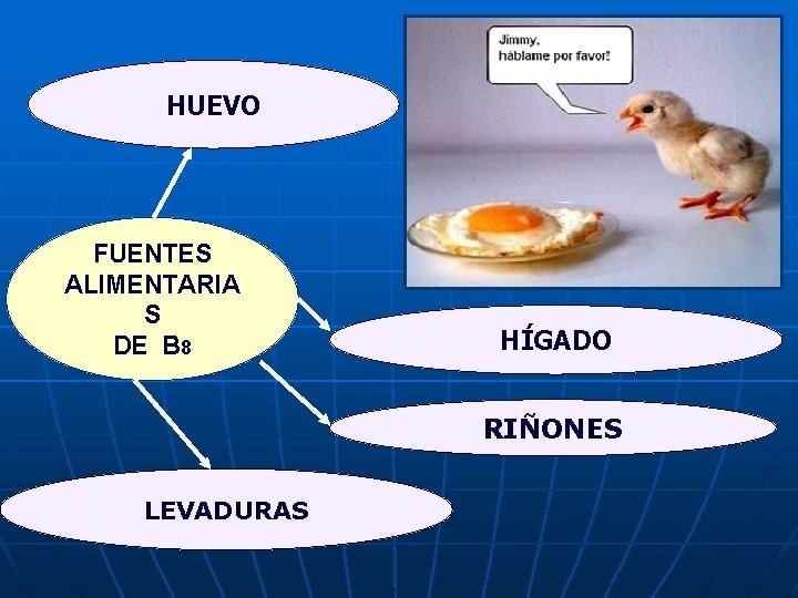 HUEVO FUENTES ALIMENTARIA S DE B 8 HÍGADO RIÑONES LEVADURAS 