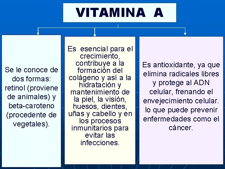 VITAMINA A Se le conoce de dos formas: retinol (proviene de animales) y beta-caroteno