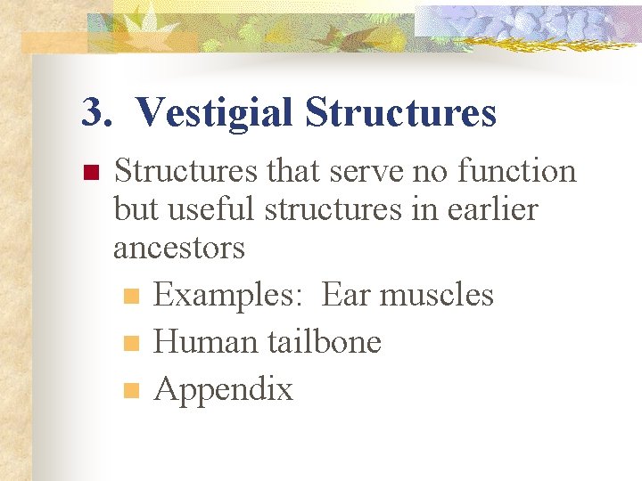 3. Vestigial Structures n Structures that serve no function but useful structures in earlier