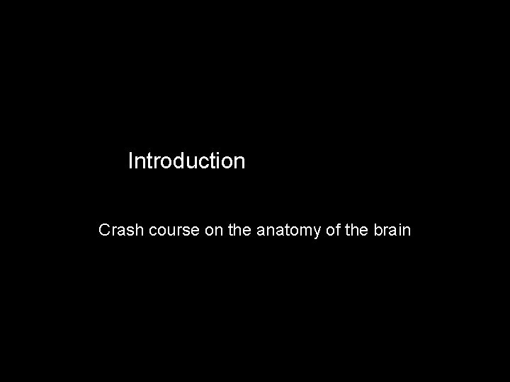 Introduction Crash course on the anatomy of the brain 