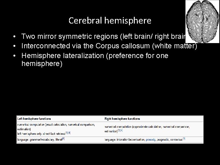 Cerebral hemisphere • Two mirror symmetric regions (left brain/ right brain) • Interconnected via