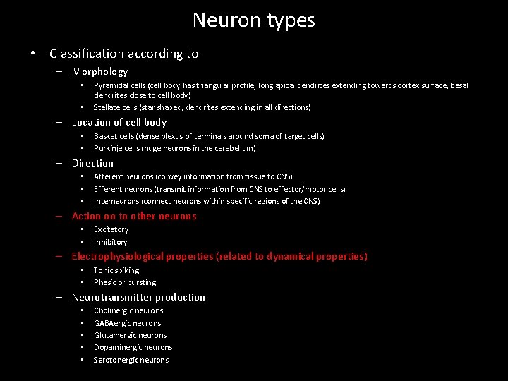 Neuron types • Classification according to – Morphology • • Pyramidal cells (cell body