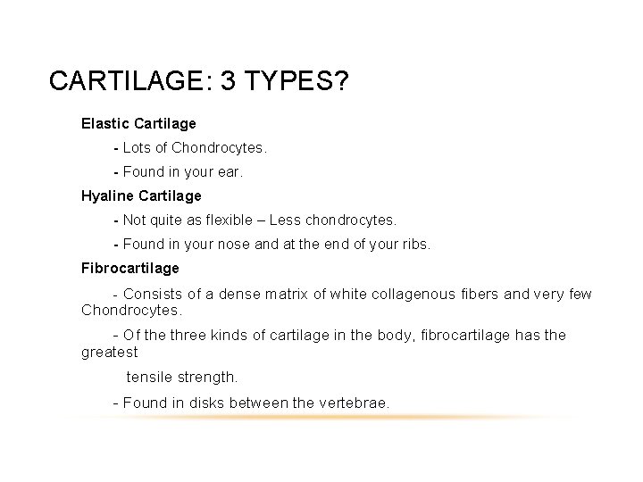 CARTILAGE: 3 TYPES? Elastic Cartilage - Lots of Chondrocytes. - Found in your ear.