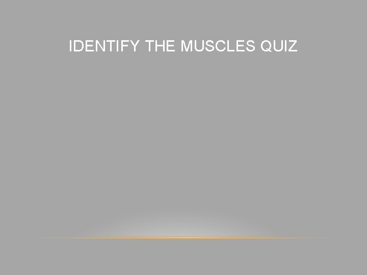 IDENTIFY THE MUSCLES QUIZ 
