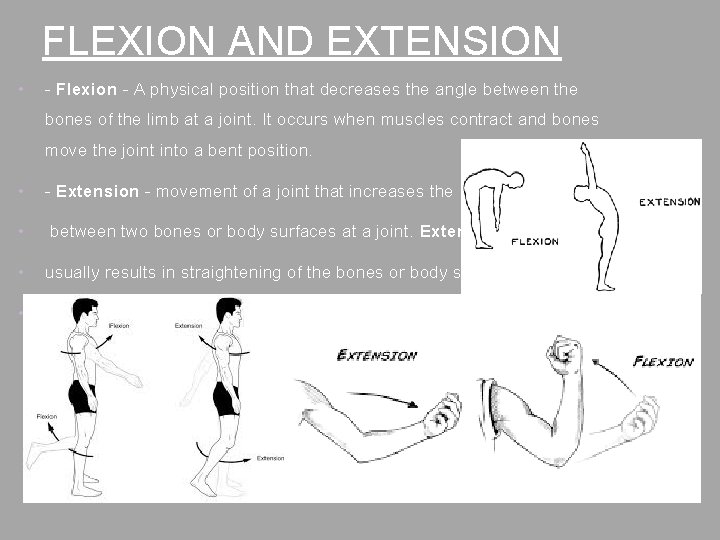 FLEXION AND EXTENSION • - Flexion - A physical position that decreases the angle