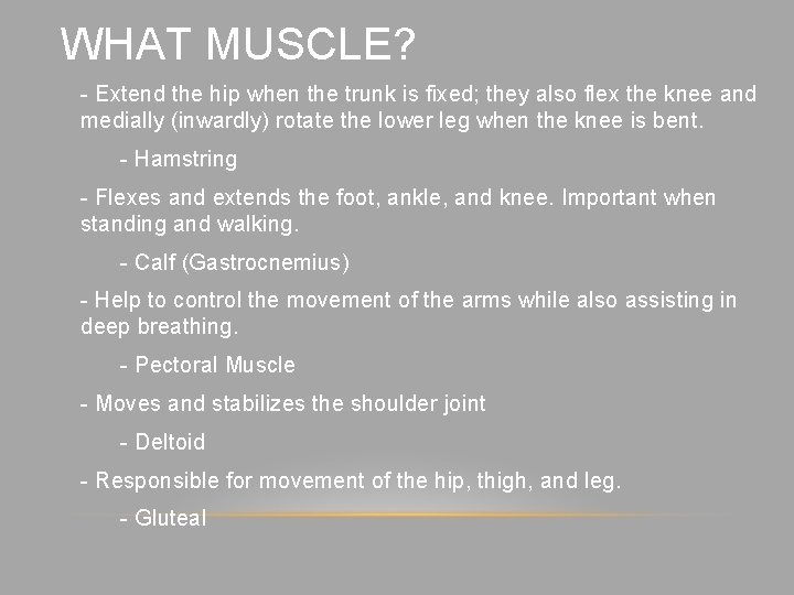 WHAT MUSCLE? - Extend the hip when the trunk is fixed; they also flex