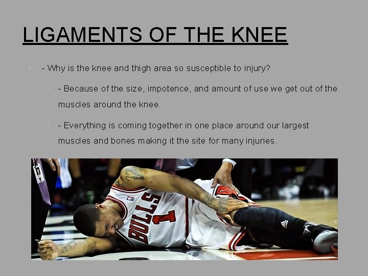 LIGAMENTS OF THE KNEE • - Why is the knee and thigh area so