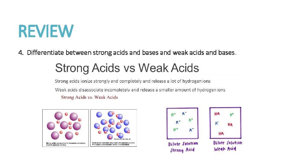 REVIEW 4. Differentiate between strong acids and bases and weak acids and bases. 