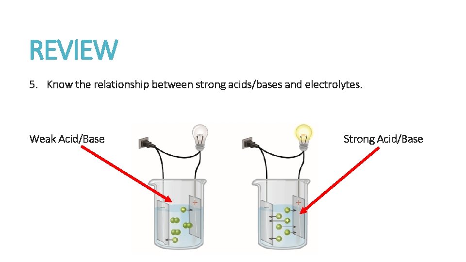 REVIEW 5. Know the relationship between strong acids/bases and electrolytes. Weak Acid/Base Strong Acid/Base