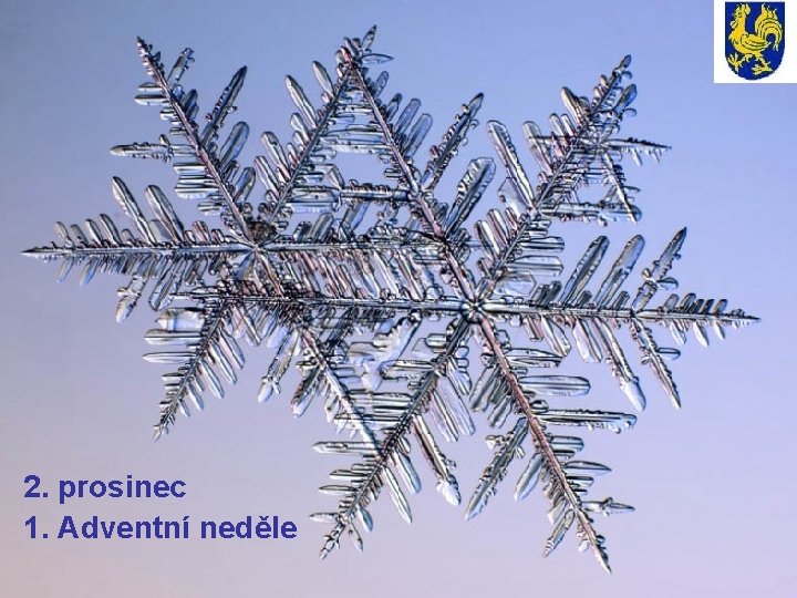2. prosinec 1. Adventní neděle 2. prosinec 1. Adventní neděle