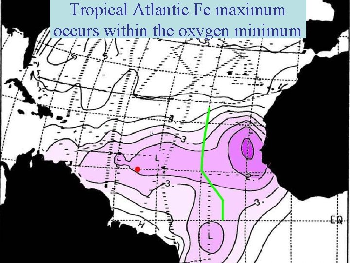 Tropical Atlantic Fe maximum occurs within the oxygen minimum 