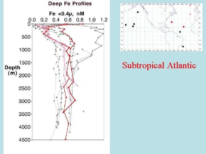 Subtropical Atlantic 