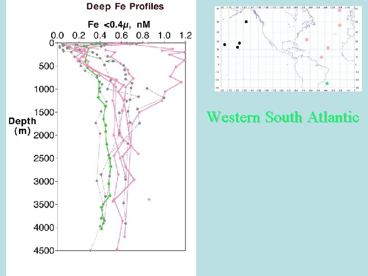 Western South Atlantic 