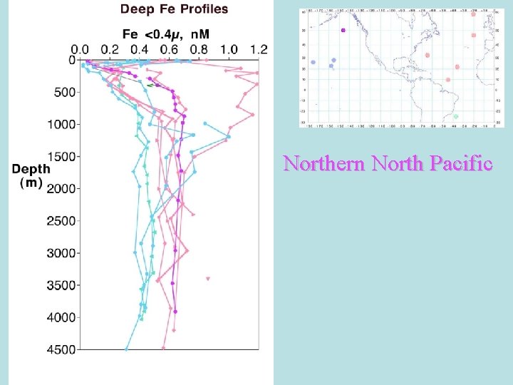Northern North Pacific 