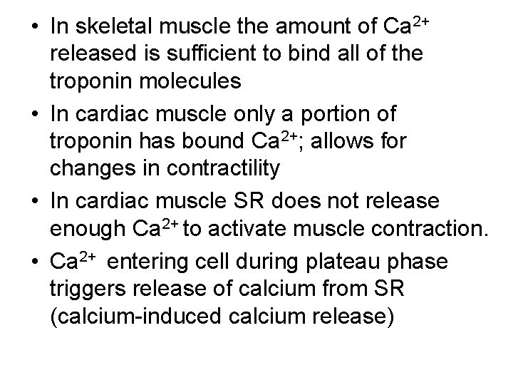  • In skeletal muscle the amount of Ca 2+ released is sufficient to