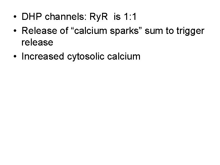  • DHP channels: Ry. R is 1: 1 • Release of “calcium sparks”