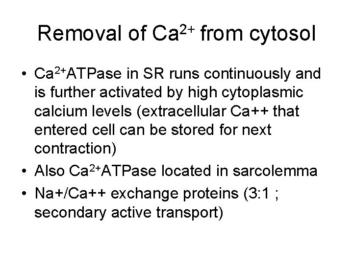 Removal of Ca 2+ from cytosol • Ca 2+ATPase in SR runs continuously and