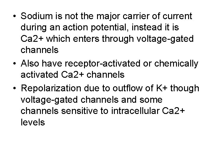  • Sodium is not the major carrier of current during an action potential,