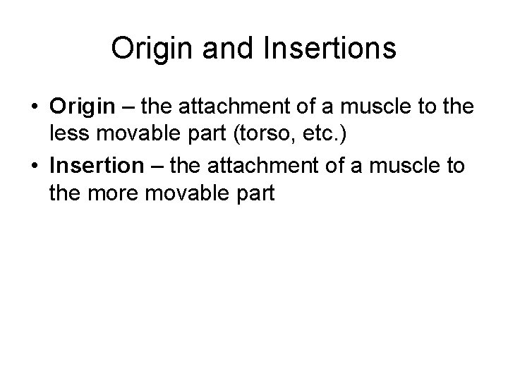 Origin and Insertions • Origin – the attachment of a muscle to the less