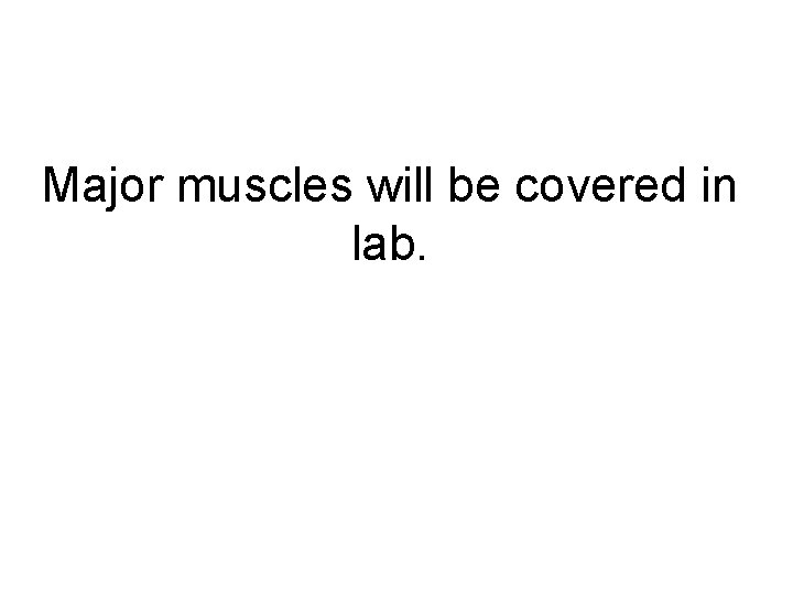 Major muscles will be covered in lab. 