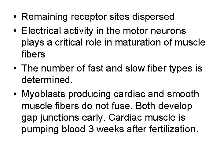  • Remaining receptor sites dispersed • Electrical activity in the motor neurons plays