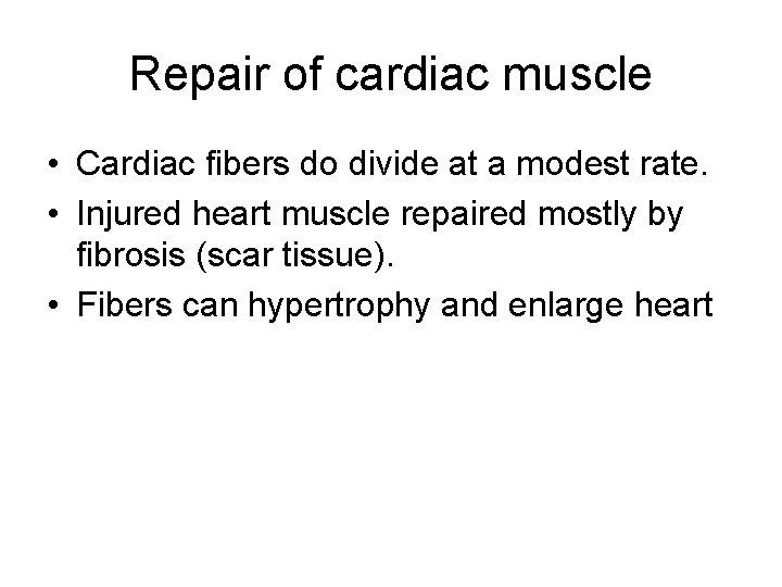 Repair of cardiac muscle • Cardiac fibers do divide at a modest rate. •