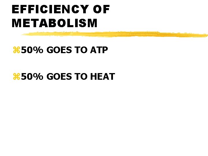 EFFICIENCY OF METABOLISM z 50% GOES TO ATP z 50% GOES TO HEAT 