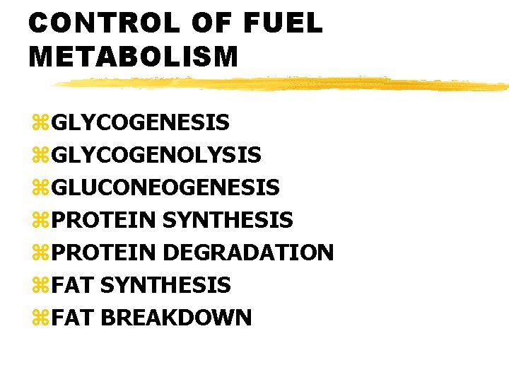 CONTROL OF FUEL METABOLISM z. GLYCOGENESIS z. GLYCOGENOLYSIS z. GLUCONEOGENESIS z. PROTEIN SYNTHESIS z.