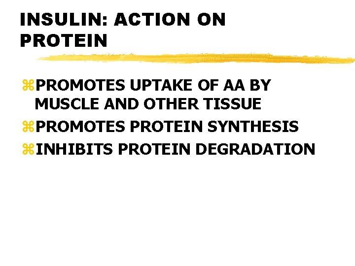 INSULIN: ACTION ON PROTEIN z. PROMOTES UPTAKE OF AA BY MUSCLE AND OTHER TISSUE