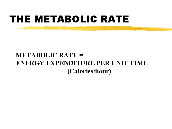 THE METABOLIC RATE = ENERGY EXPENDITURE PER UNIT TIME (Calories/hour) 