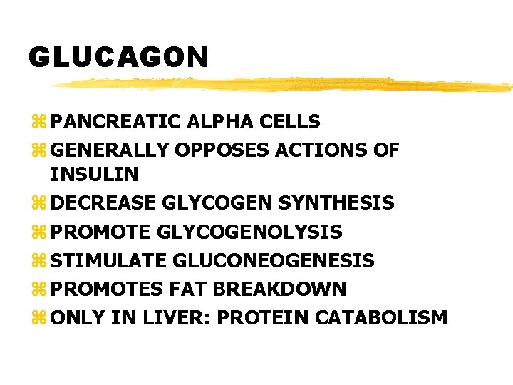 GLUCAGON z PANCREATIC ALPHA CELLS z GENERALLY OPPOSES ACTIONS OF INSULIN z DECREASE GLYCOGEN